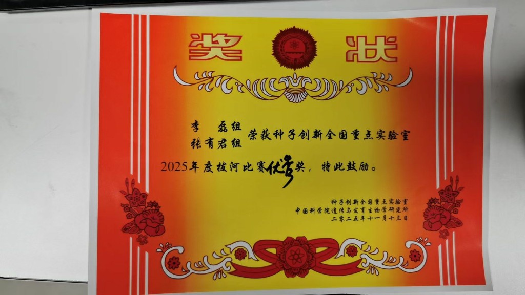 奖状